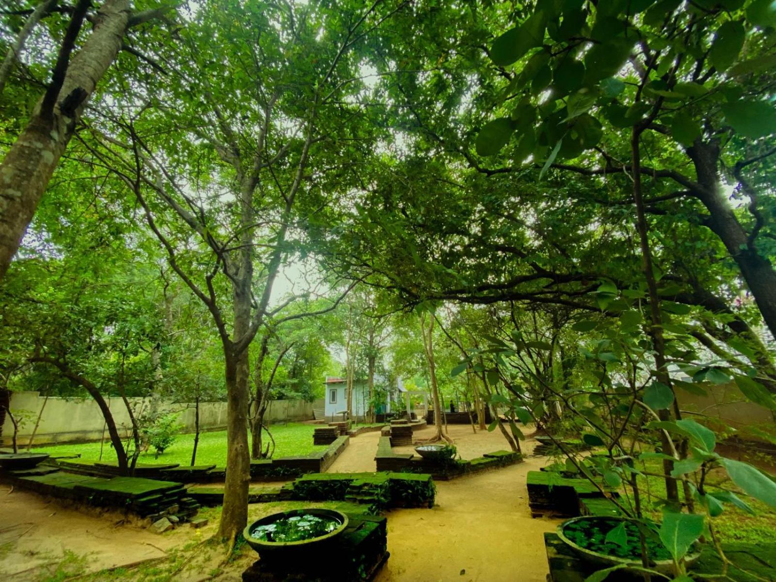Twin Blocks Nature Resort Anuradhapura Exterior photo
